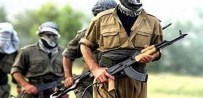 KORSAN GÖSTERİ - İstanbul'da PKK Adına Eylem Hazırlığındaki 2 Kişi Yakalandı