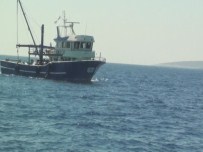 TROL - Trol İle Balık Avlayanlara Ceza