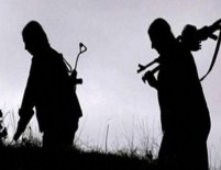 Iğdır'da 3 PKK'lı Teslim Oldu