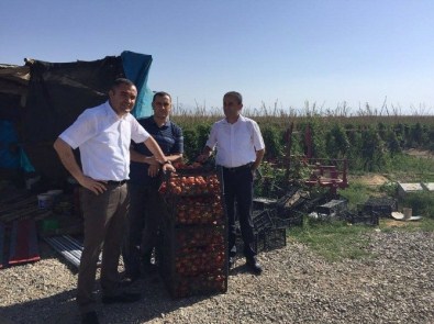 Kaymakam Sarı, Tuşba Sebze Ve Meyvecilikte Marka Olma Yönünde İlerliyor