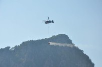 Manavgat'ta Orman Yangını