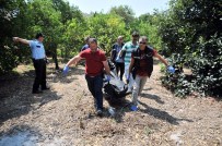 Mersin'de Suriyeli Cinayeti