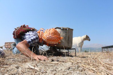 'Mor Koyunlar' Teröre Tepki İçin Suya Atlatılacak