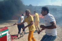 ORTAKENT - Bodrum Alevlere Yenik Düştü