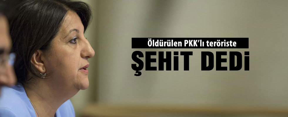 HDP'li Pervin Buldan teröristin ailesine başsağlığına gitti