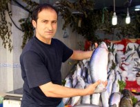KALKAN BALIĞI - Samsunlu Balıkçıların Palamut Ve Hamsi Umudu