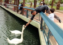 SAHİL YOLU - Samsunlular Hafta Sonunu Serin Havada Gezerek Geçirdi