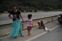 SERVİS OTOBÜSÜ - Düğüne Giderken Otobüs Çarptı