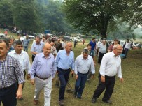 OSMAN KAHVECI - Yenice'de 2. Göktepe Şenlikleri Yapıldı