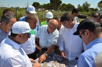 BIROL EKICI - Başkan Türel Ve DSİ Bölge Müdürü Özgür Aksu Çayında İncelemede Bulundu