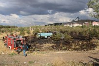 İtfaiye'nin Erken Müdahalesi Ağaçları Yanmaktan Kurtardı