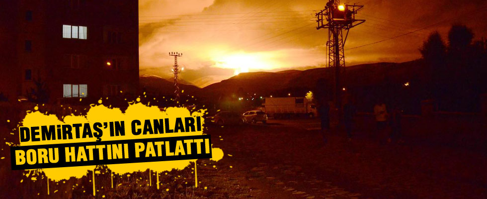 Kars'ta doğalgaz boru hattına terör saldırısı