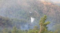 ORMAN İŞÇİSİ - Köyceğiz'de Orman Yangını