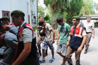 ÇAMYUVA - Portakal Bahçesinde Hırsızlık Operasyonu