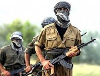 Türkiye'den PKK’nın kasalarına büyük operasyon