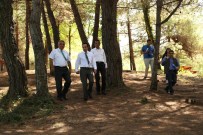 KARAVAN PARKI - Abana Tabiat Parkında İnceleme