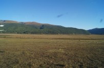 ERGENEKON DESTANı - Altay Dağları'ndaki Kazılarda 'Ergenekon' Bulguları