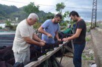 MÜSAMAHA - Balıkçılar 1 Eylül'de 'Vira Bismillah' Demeye Hazırlanıyor