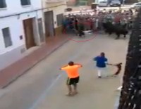 Boğanın boynuz darbeleri öldürdü