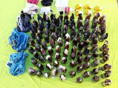 Diyarbakır'da Terör Örgütü Operasyonu