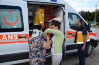 Gümüşhacıköy'de Trafik Kazası Açıklaması 3 Yaralı