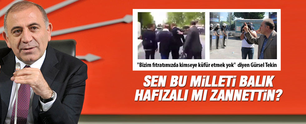 Gürsel Tekin: Bizim fıtratımızda kimseye küfür etmek yok