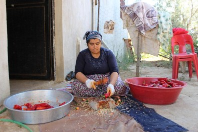 Hassa'da Kadınlar Salça Yapımına Başladı