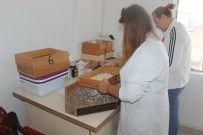 Nevşehir'de Fasulye Borsası Kuruldu