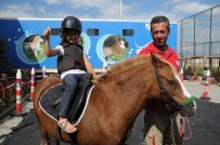 Pursaklar'da Çocuklara Hayvan Sevgisi Aşılanıyor