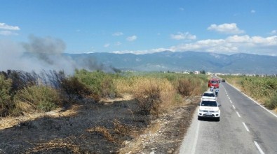 Yol Kenarında Başlayan Yangın Sazlığı Yaktı