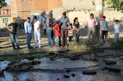 Diyarbakır'da Rögar Kapağı Bomba Gibi Patladı Açıklaması 5 Yaralı