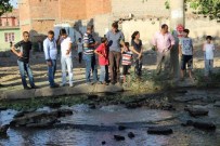 SELAHATTIN EYYUBI - Diyarbakır'da Rögar Kapağı Patladı Açıklaması 5 Yaralı
