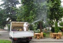 Ortahisar Belediyesi'nden Yeşil Alanlarda İlaçlama Yapıyor