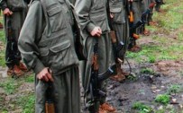 PKK'ya çok ağır darbe