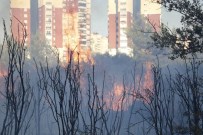 POLİS LOJMANLARI - Antalya'da Orman Yangını (1)