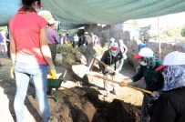 SANAT TARIHI - Antalya'da Tarihi Kazılar Ev Kadınlarına Emanet