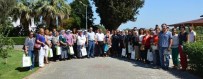 MUSTAFA BIRCAN - Aydın'da 58 Üretici Kadına 'İncir Üretiminde Kadın Eli' Eğitimi Verildi