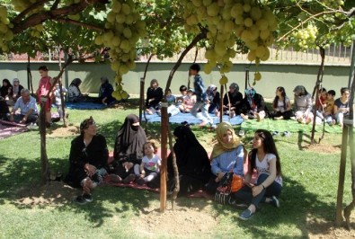 Bağcılar'da Vatandaş Üzüme Doydu