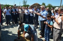 ÇEVRE BAKANLIĞI - Elvanpazarcık Belediyesi Hizmet Araçlarını Yeniledi