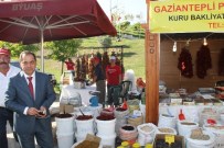 Gaziantep Kültür Ve Yiyecek Şenliği Başladı