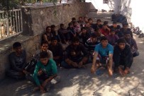 Iğdır'da 31 Kaçak Şahıs Yakalandı