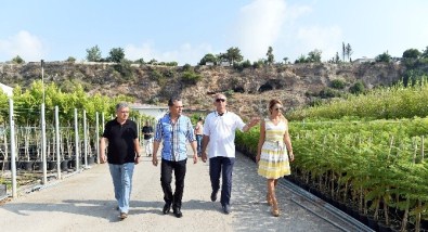 Muratpaşa Belediyesi Bitki Üretim Tesislerini 5 Kat Büyütüyor