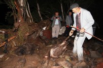 3 Bini Aşkın Koyun Telef Oldu