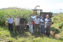 Düzce'de Silajlık Mısır Hasadı Başladı