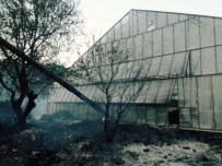 Gazipaşa'da Yangın