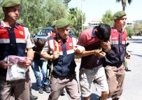 ÇAMYUVA - Jandarmadan Esrar Operasyonu