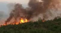 ORHAN ÇIFTÇI - Orman Yangını Büyüyor