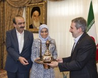 NÜKLEER MÜZAKERELER - Ambargonun Kaldırılması Sonrası İran'a İlk Heyet Daib'den