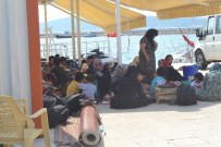 Ayvalık'ta 57 Afgan Mülteci Yakalandı