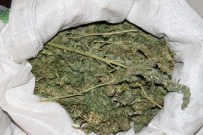 Bandırma'da Uyuşturucu Operasyonu